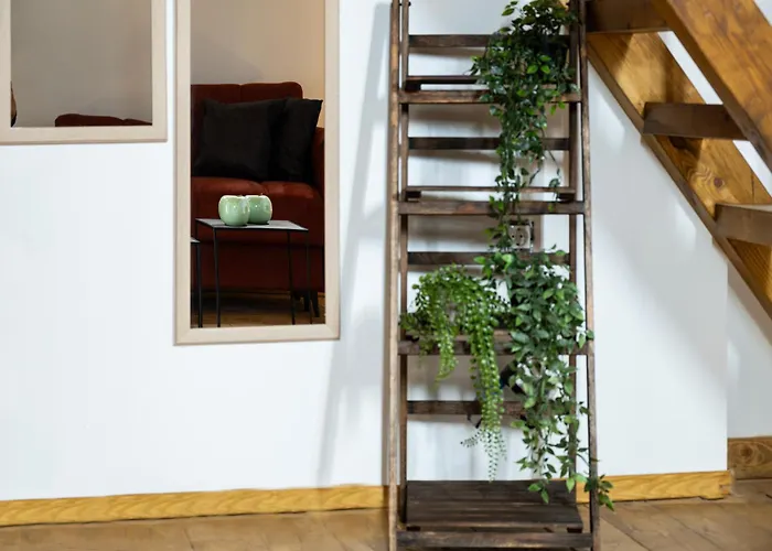 Old Town Nest 3* עיר רודוס